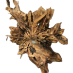 ESCULTURA- Cadeirão Raiz Oliveira