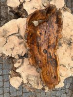 ESCULTURA- Fruteira em Oliveira - Image 6