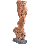 ESCULTURA em Raiz de Oliveira