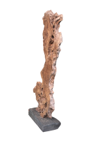 ESCULTURA em Raiz de Oliveira - Image 2