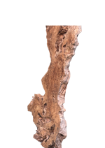 ESCULTURA em Raiz de Oliveira - Image 3