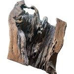 ESCULTURA- Raiz De Oliveira