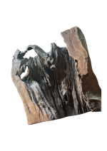 ESCULTURA- Raiz De Oliveira - Image 2