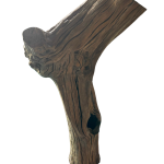 ESCULTURA- Tronco em Oliveira